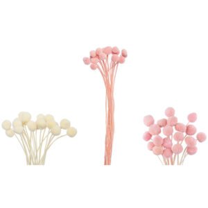 Αποξηραμένο Φυτό Buttom