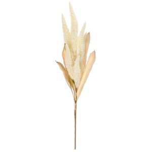 Κλαδί Chloris Virgata σε Ιβουάρ Χρώμα