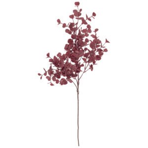 Κλαδί από Πιλέα σε Μπορντό Χρώμα
