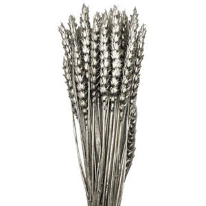 Aποξηραμένο Φυτό Wheat σε Ασημί Χρώμα
