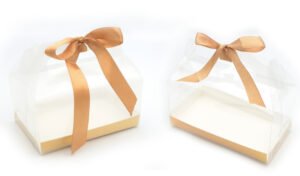 ΚΟΥΤΙ ΔΙΑΦΑΝΟ ΓΙΑ ΔΩΡΟ 19cm x 10cm x 9cm