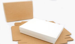 ΧΑΡΤΙΝΟ ΚΟΥΤΙ ME KAΠΑΚΙ 40cm x 30cm x 6.5cm