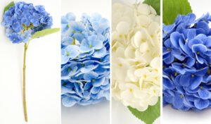 ΟΡΤΑΝΣΙΑ ΚΛΑΔΙ 20cm x 40cm